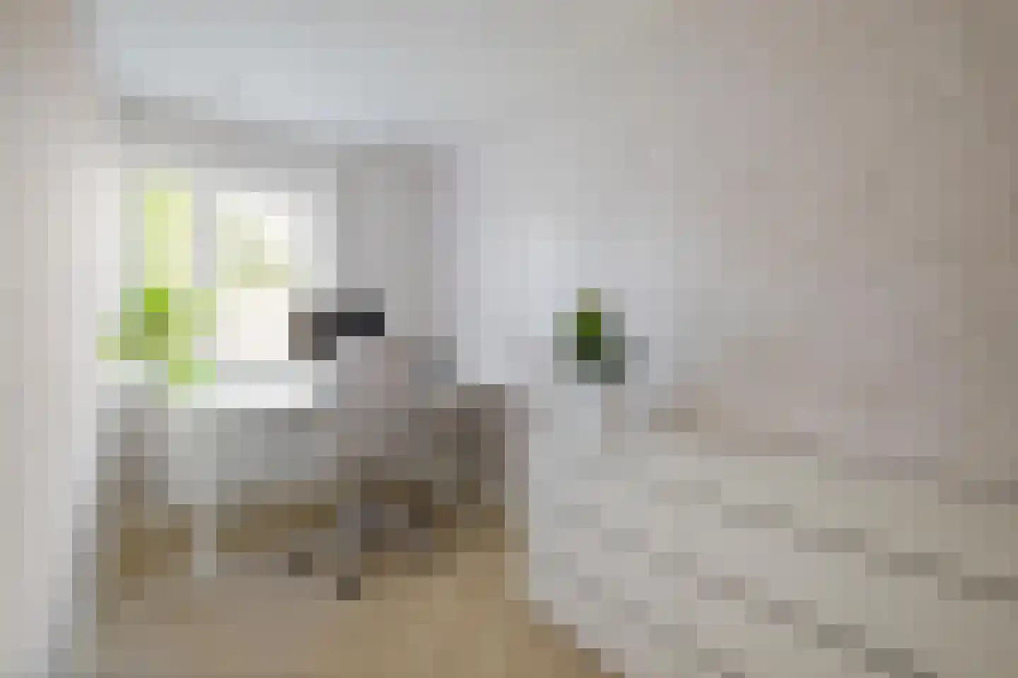 Vekenoord 4 Breda thumbnail 46