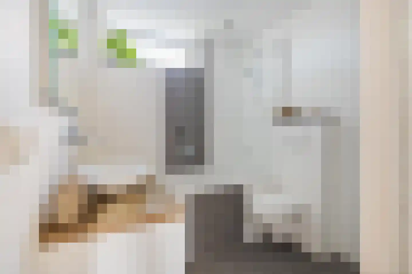 Vekenoord 4 Breda thumbnail 48