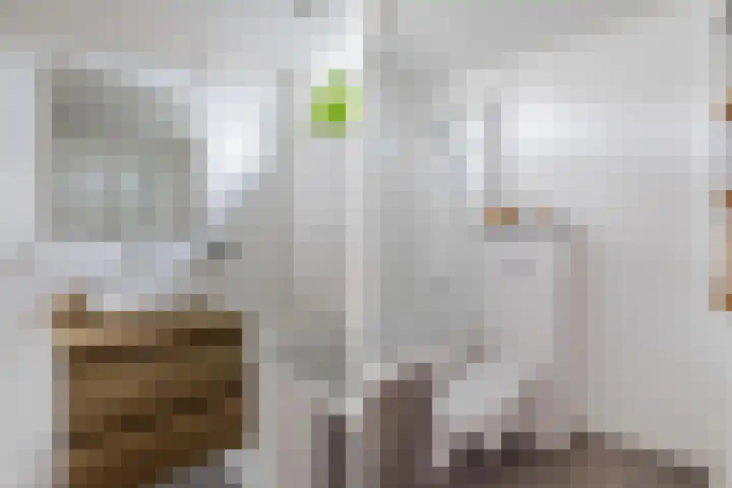 Vekenoord 4 Breda thumbnail 50