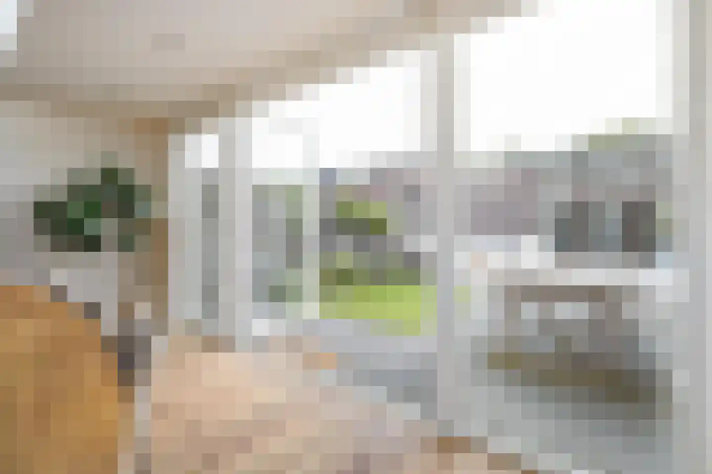 Vekenoord 4 Breda thumbnail 58