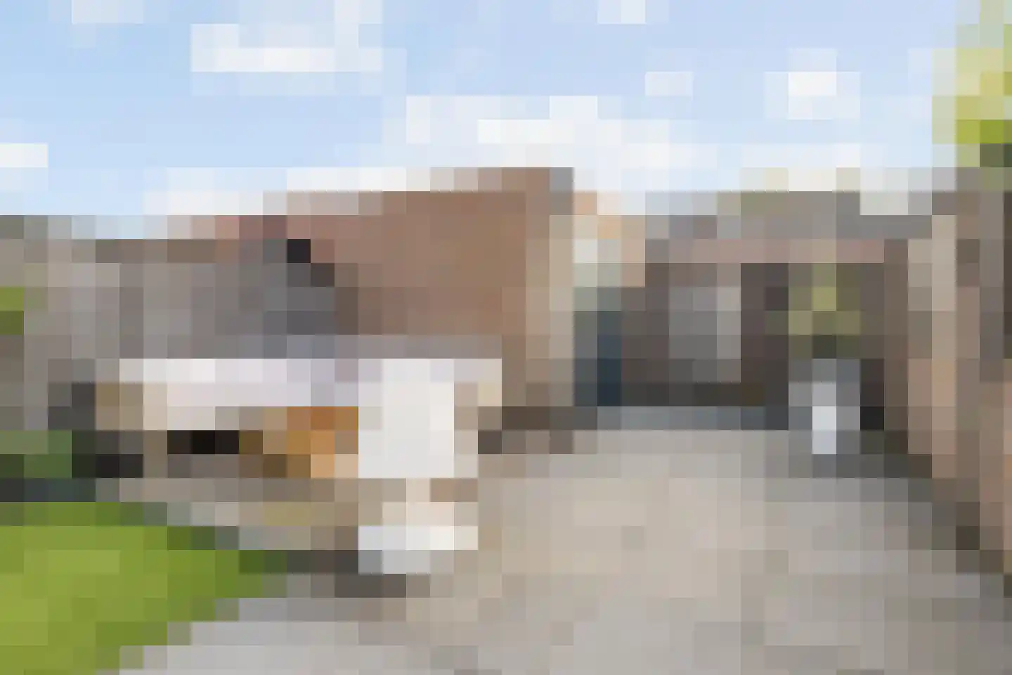 Vekenoord 4 Breda thumbnail 61