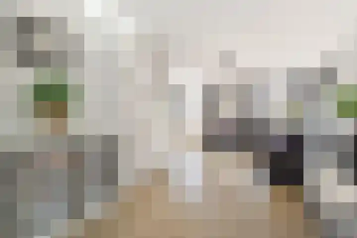 Vekenoord 43 Breda thumbnail 15