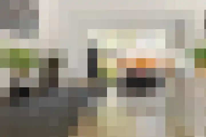 Vekenoord 43 Breda thumbnail 17