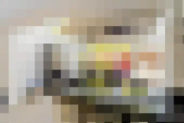 Vekenoord 43 Breda thumbnail 22