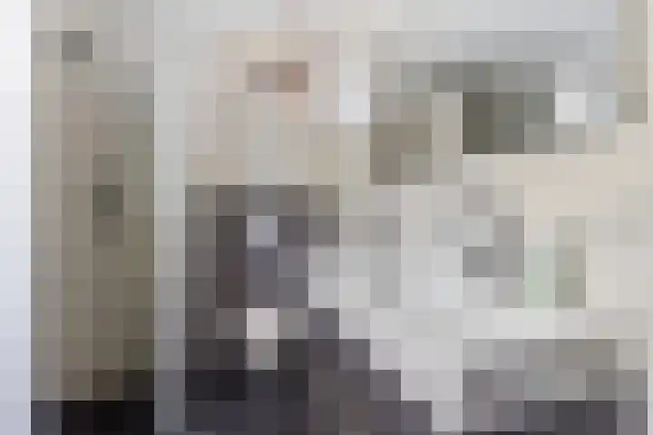Vekenoord 43 Breda thumbnail 36