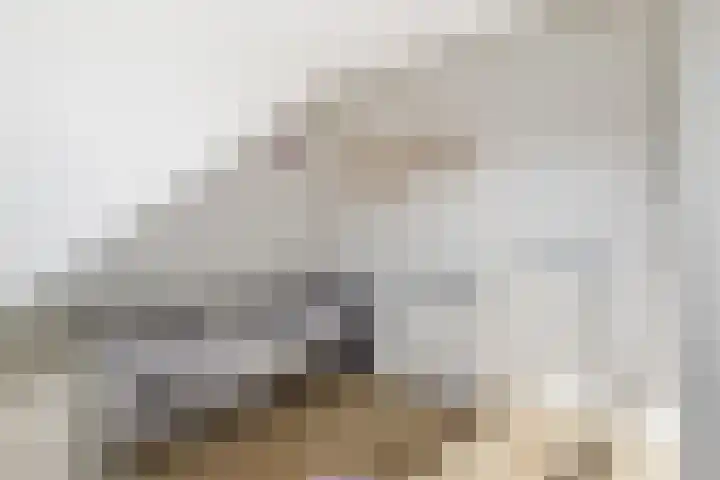 Vekenoord 43 Breda thumbnail 40