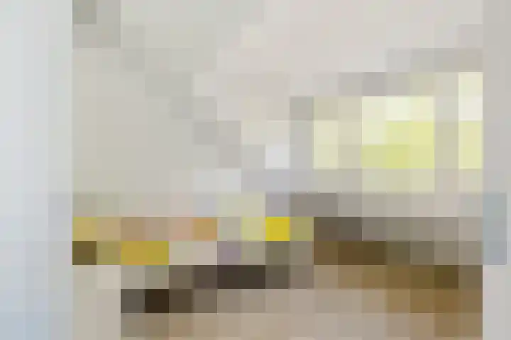 Vekenoord 43 Breda thumbnail 42