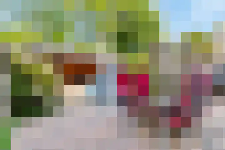 Vekenoord 43 Breda thumbnail 44