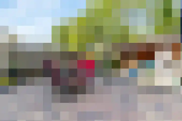 Vekenoord 43 Breda thumbnail 45