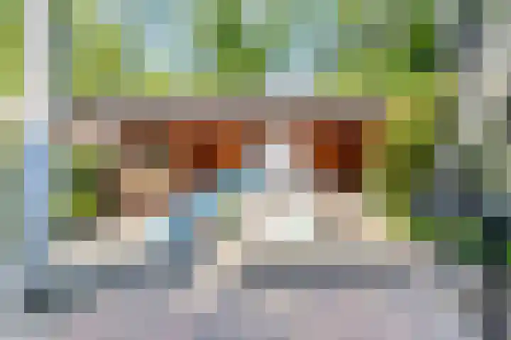 Vekenoord 43 Breda thumbnail 46