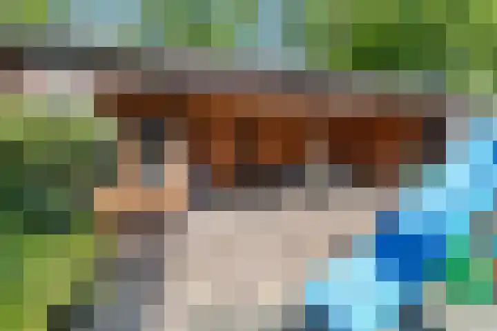 Vekenoord 43 Breda thumbnail 47