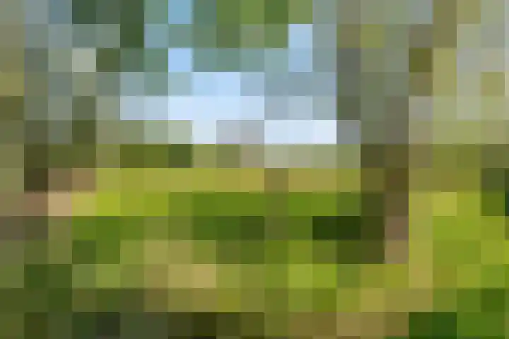 Vekenoord 43 Breda thumbnail 50