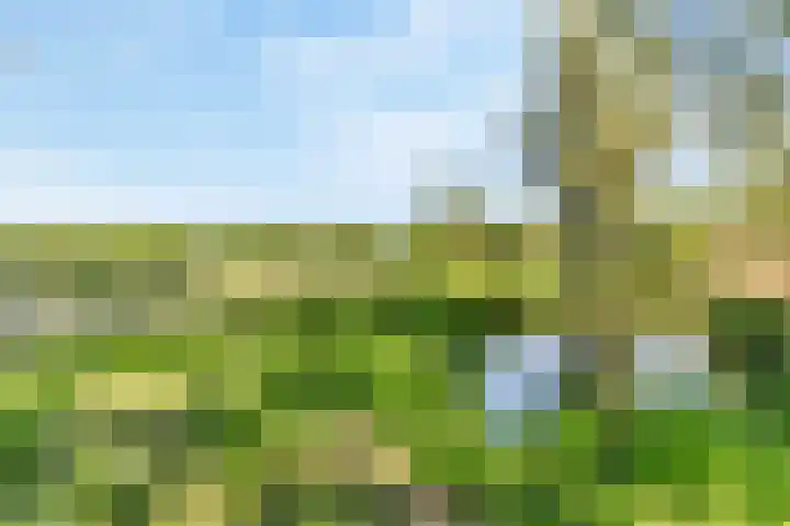Vekenoord 43 Breda thumbnail 51