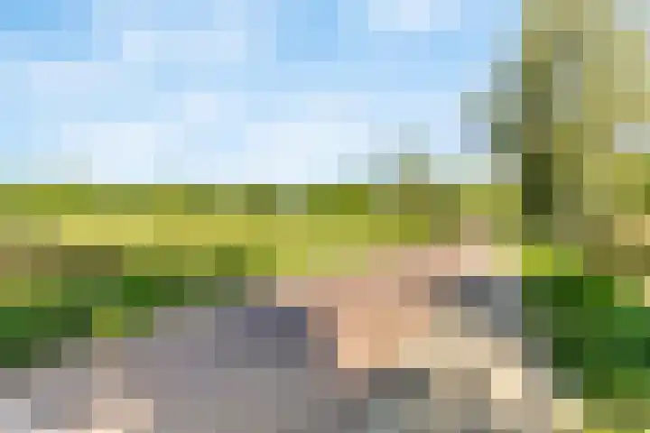 Vekenoord 43 Breda thumbnail 52