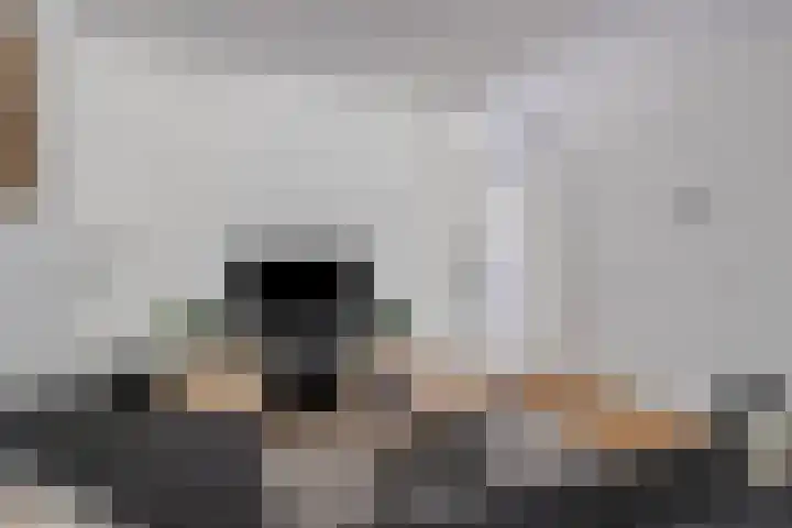 Vekenoord 53 Breda thumbnail 10