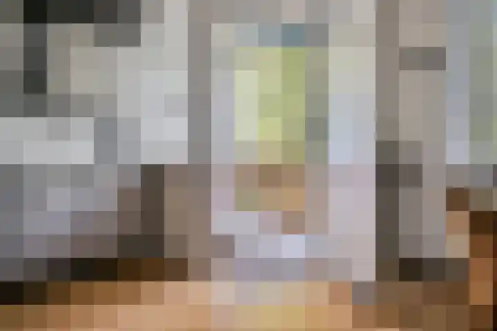 Vekenoord 53 Breda thumbnail 17