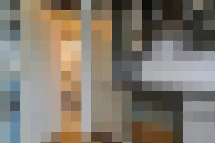 Vekenoord 53 Breda thumbnail 18