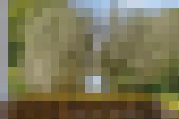 Vekenoord 53 Breda thumbnail 21