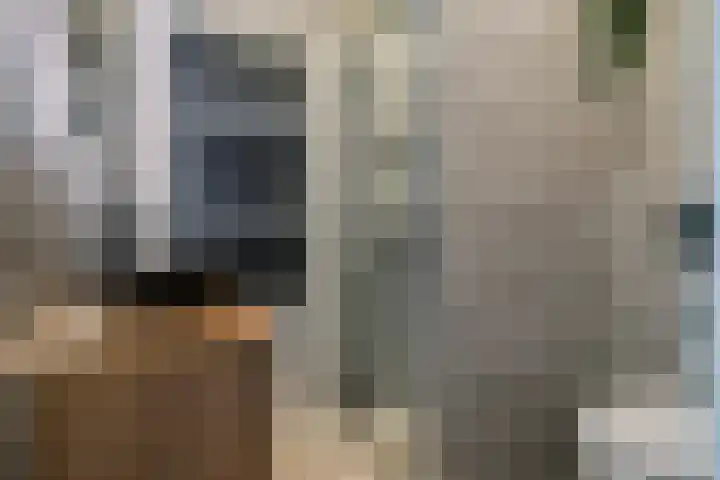 Vekenoord 53 Breda thumbnail 25