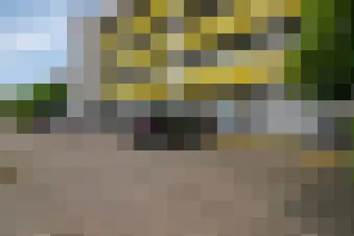 Vekenoord 53 Breda thumbnail 34