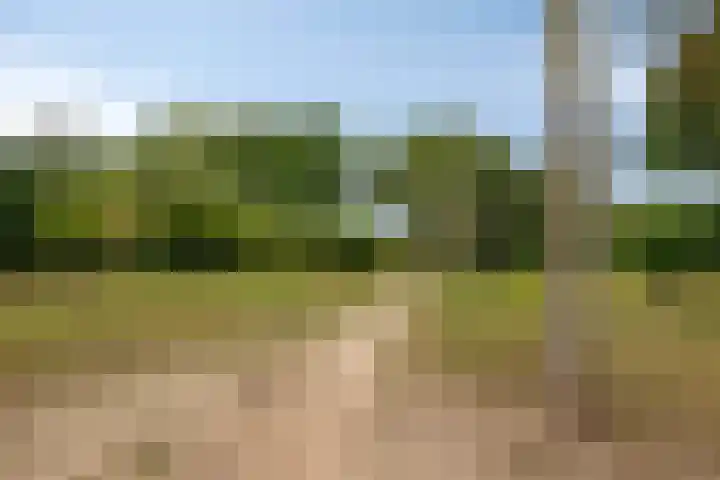 Vekenoord 53 Breda thumbnail 36
