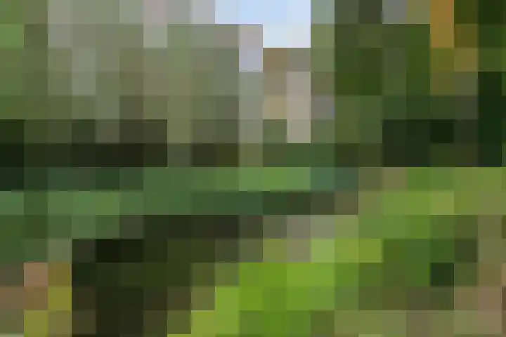 Vekenoord 53 Breda thumbnail 37