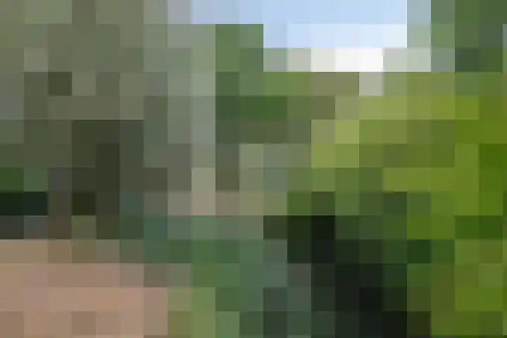 Vekenoord 53 Breda thumbnail 38