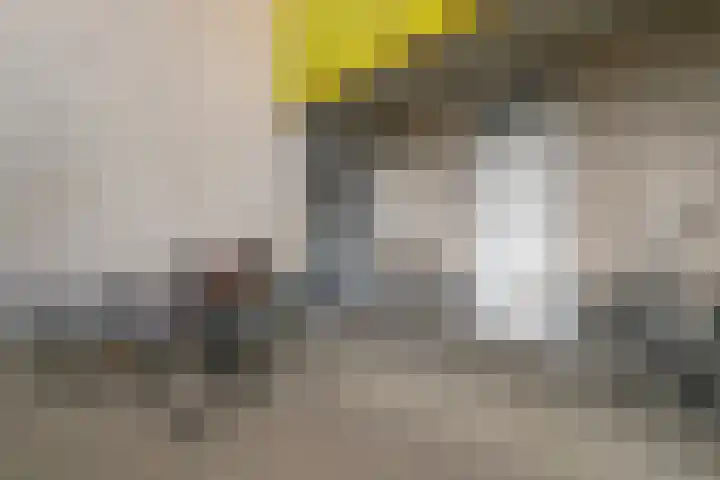 Vekenoord 53 Breda thumbnail 4