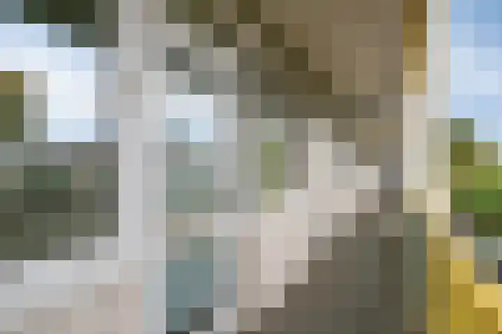 Vekenoord 53 Breda thumbnail 6