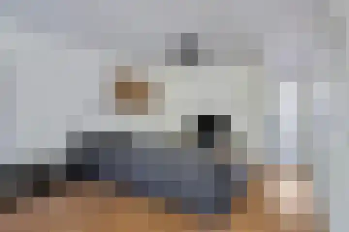 Vekenoord 53 Breda thumbnail 9