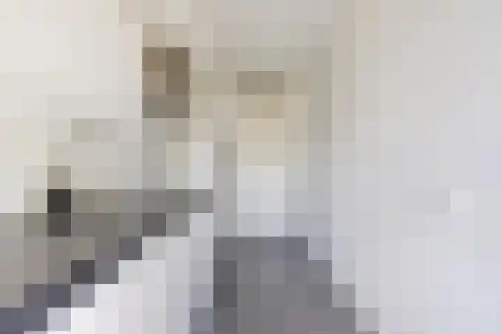 Vekenoord 63 Breda thumbnail 10