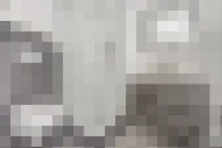 Vekenoord 63 Breda thumbnail 16