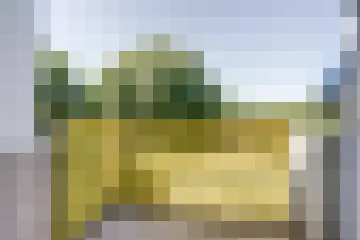 Vekenoord 63 Breda thumbnail 19