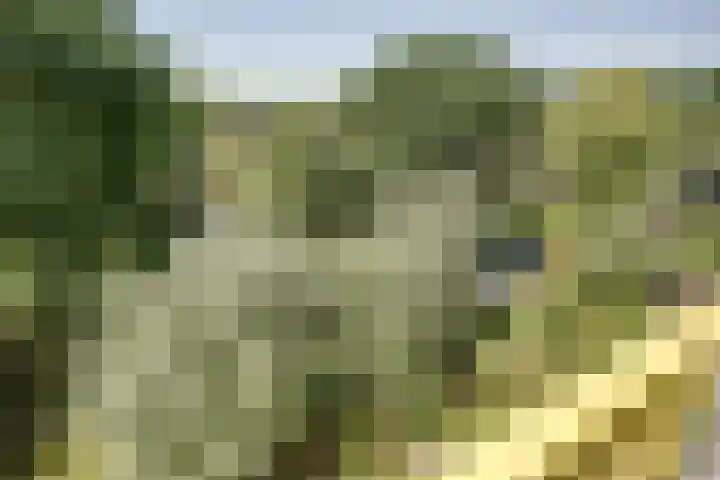 Vekenoord 63 Breda thumbnail 20