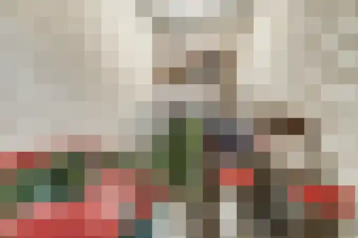 Vekenoord 63 Breda thumbnail 21