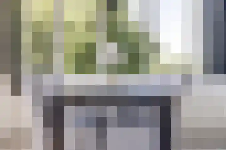 Vekenoord 63 Breda thumbnail 5