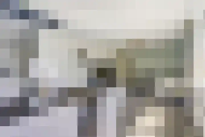 Vekenoord 63 Breda thumbnail 6