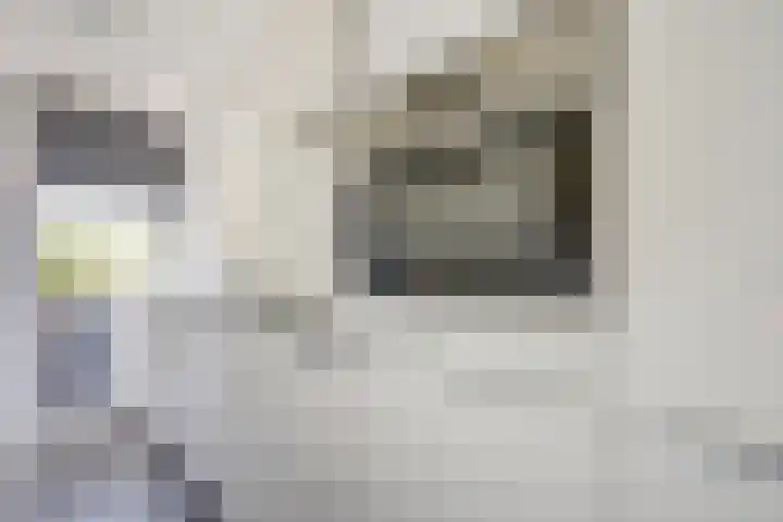 Vekenoord 63 Breda thumbnail 7