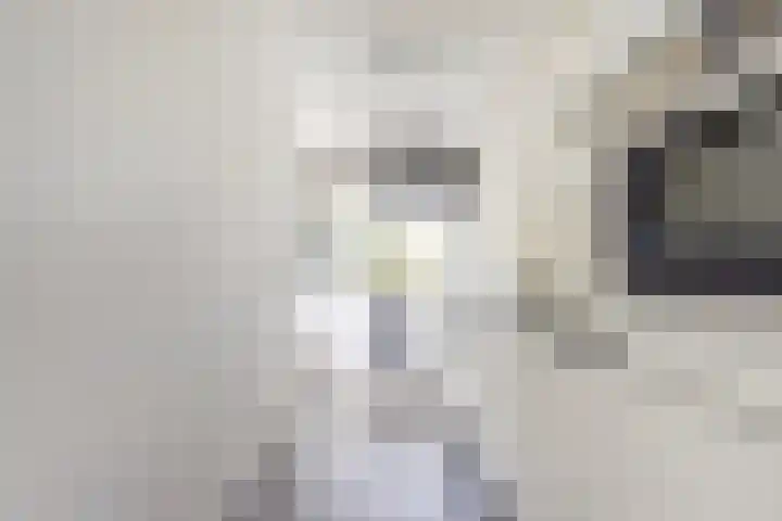 Vekenoord 63 Breda thumbnail 8