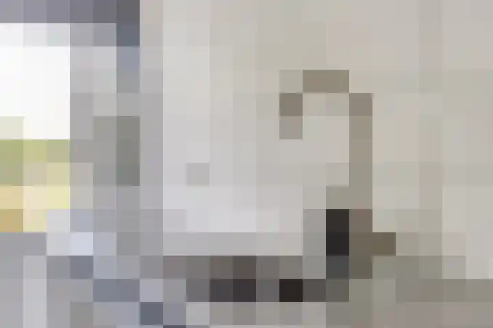 Vekenoord 63 Breda thumbnail 9