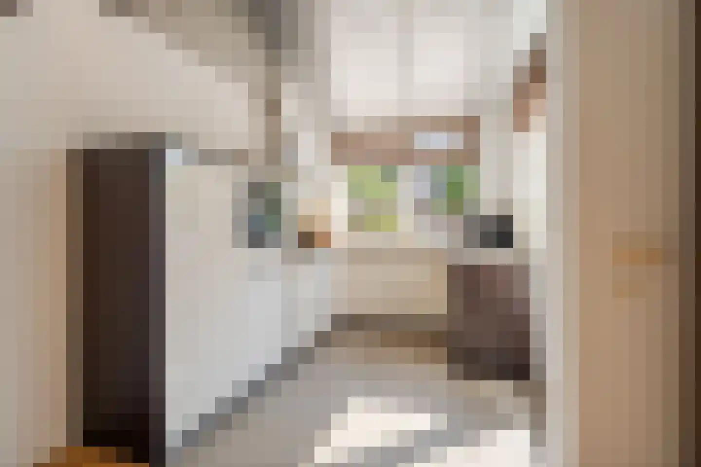 Vekenoord 72 Breda thumbnail 16
