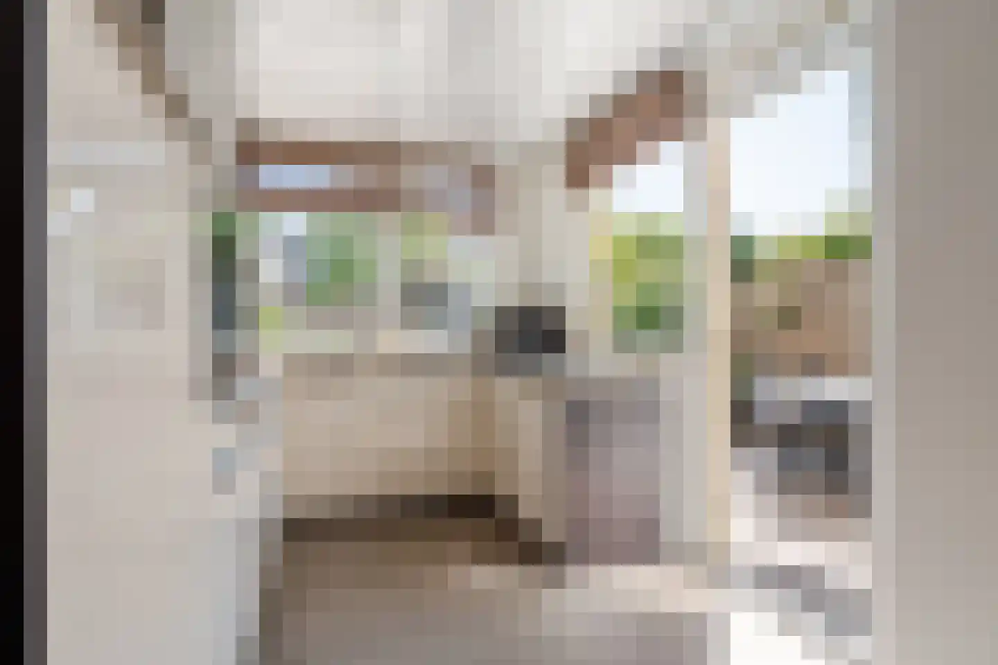Vekenoord 72 Breda thumbnail 17