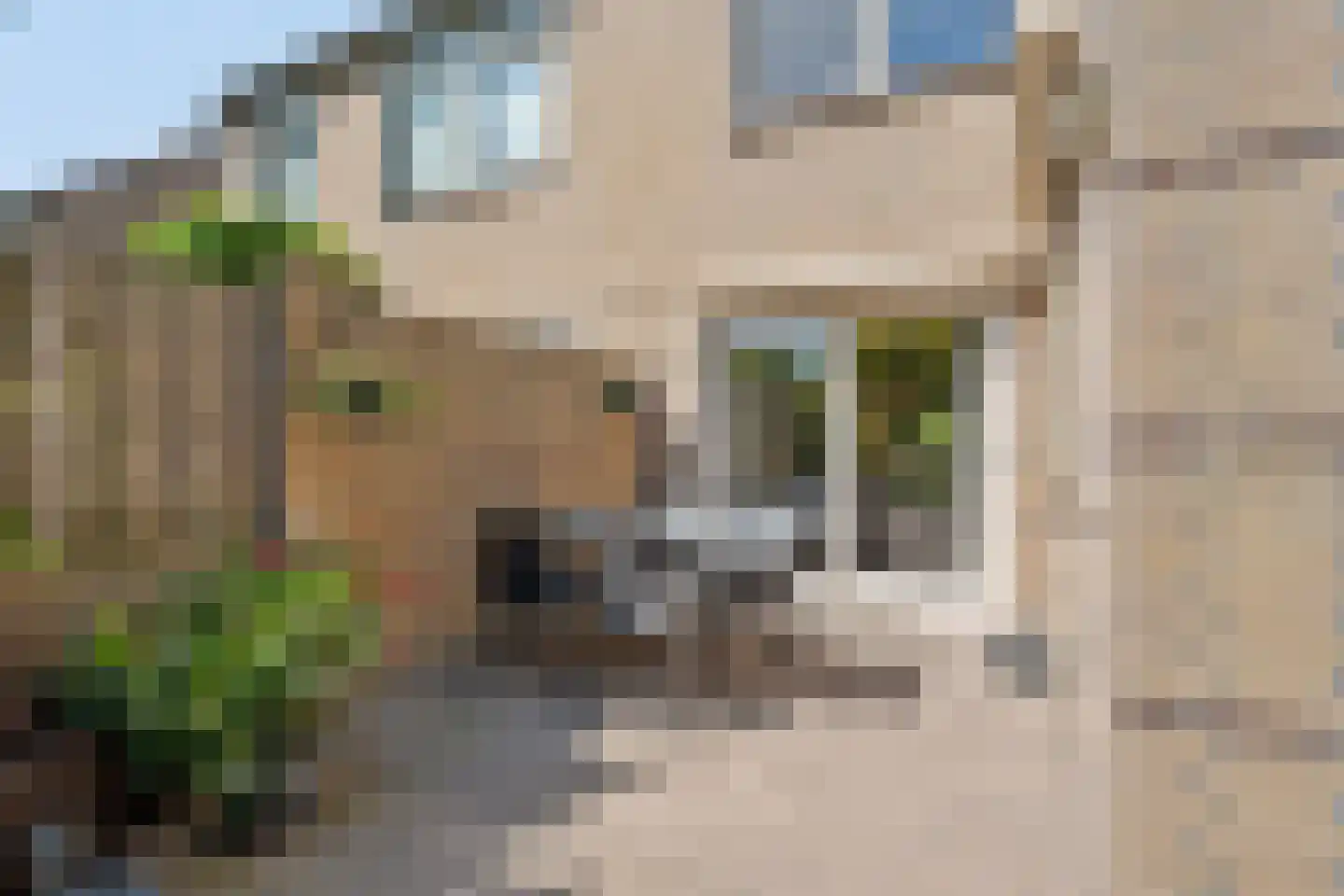 Vekenoord 72 Breda thumbnail 18