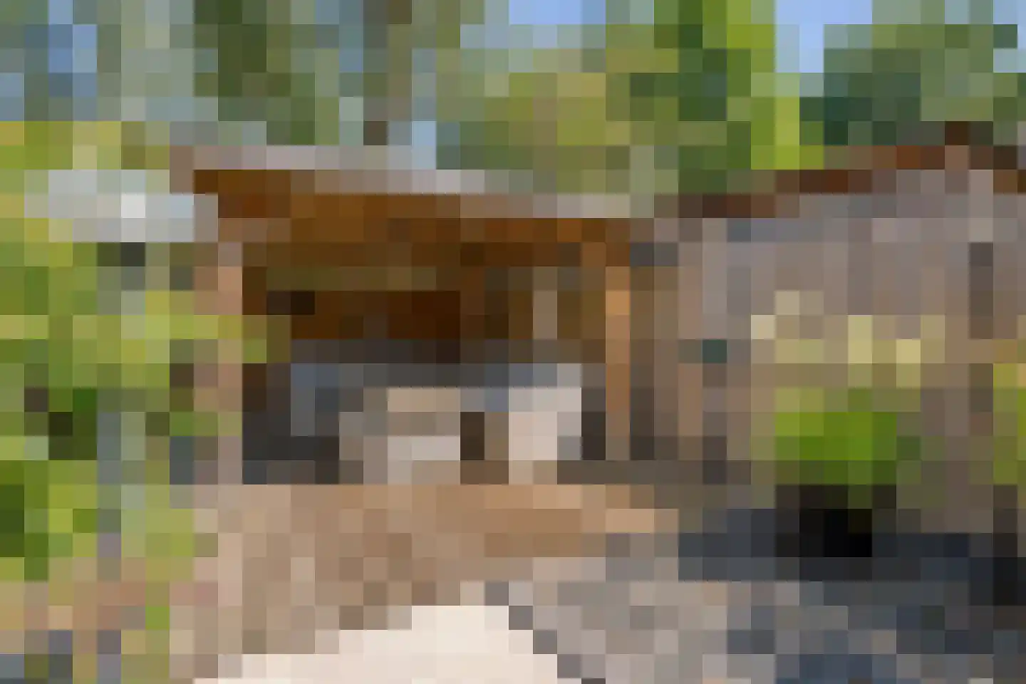 Vekenoord 72 Breda thumbnail 21
