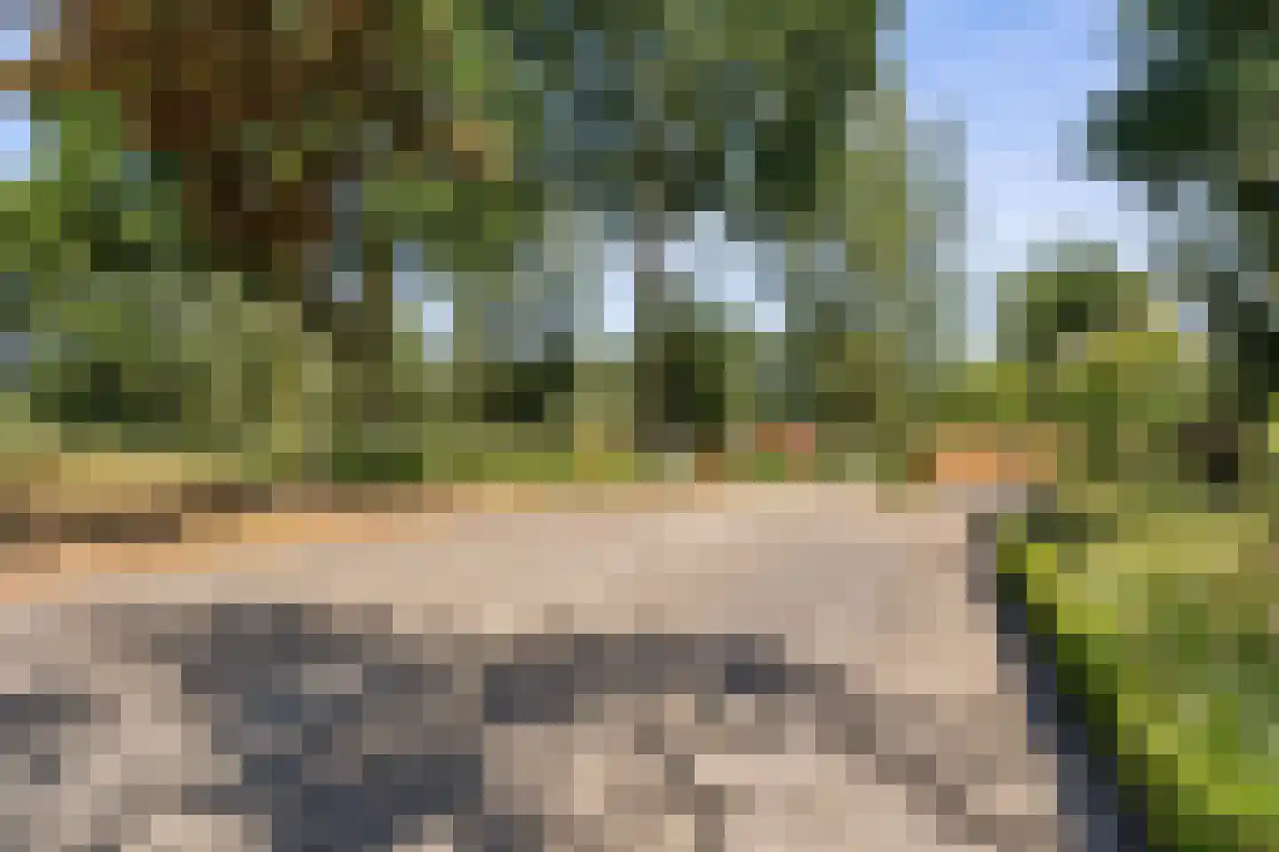 Vekenoord 72 Breda thumbnail 43
