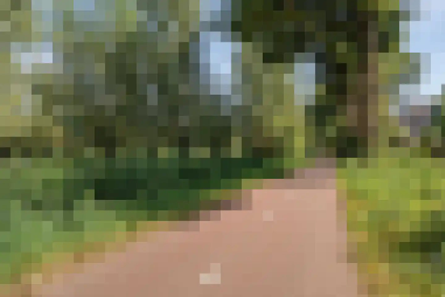Vekenoord 72 Breda thumbnail 44