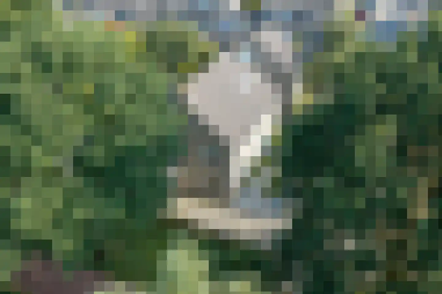 Vekenoord 72 Breda thumbnail 47
