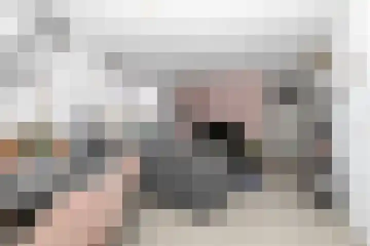 Vekenoord 79 Breda thumbnail 17