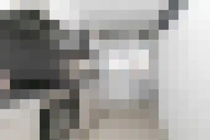 Vekenoord 79 Breda thumbnail 23