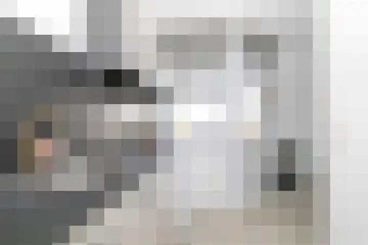 Vekenoord 79 Breda thumbnail 24